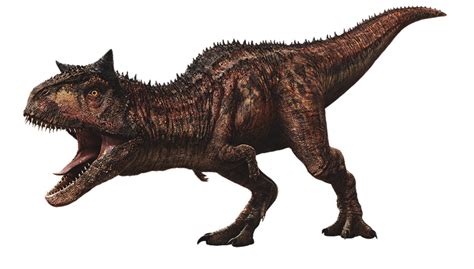 Image Carnotaurus Png Wikia Jurassic Park Fandom Powered By Wikia