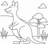 Tree Kangaroo Pages Coloring Getcolorings Getdrawings Drawing sketch template
