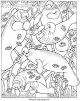 Coloring Dover Pages Manatee Publications Doverpublications Adults Adult sketch template