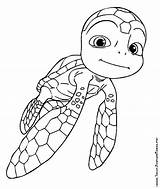 Samy Voyage Coloriage Tortugas Extraordinaire Colorier sketch template