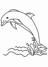 Delfini Delfino Pianetabambini Animali Dolphin Disegnare Arte Utilizzare Alternativa Possibile Diretta Inoltre Funzioni Ricordiamo Dal sketch template