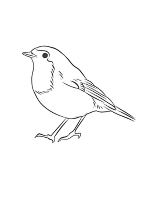 coloring pages  robin coloring pages  kids
