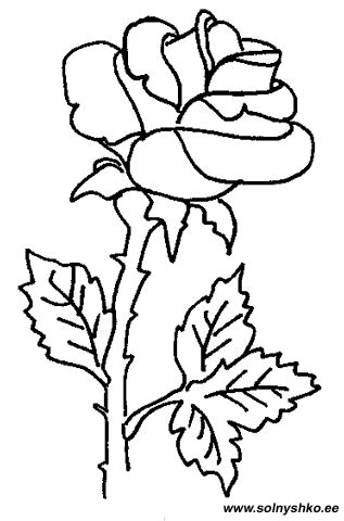 trees  flowers coloring pages  coloring pages colorful flowers