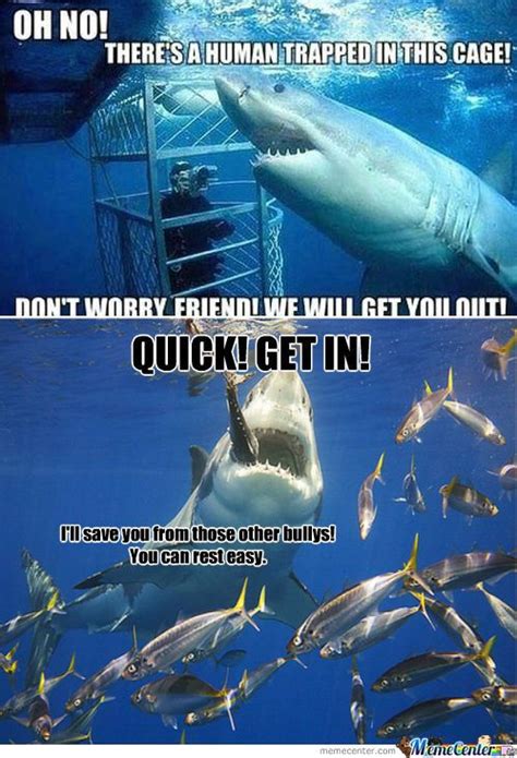 [rmx] Misunderstood Shark Misunderstood Shark Funny Shark Pictures