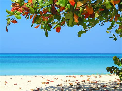 jamaica s apartheid like beaches the jamaican blogs™