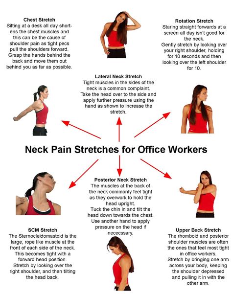 neck pain stretches  office workers    problem stems