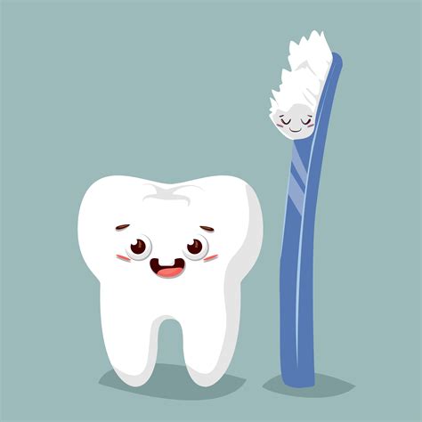 cute cartoon teeth  toothbrush vector flat illustration  vector art  vecteezy