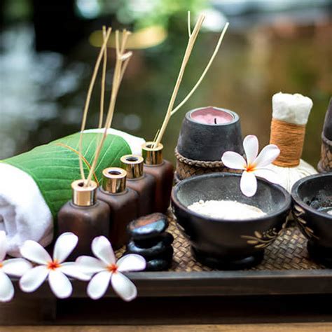 tokyo ginza spa massage therapist  wilkes barre