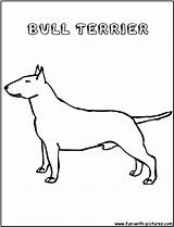 Terrier Coloring Bull Pages Template Getcolorings sketch template