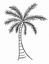 Coconut Tree Coloring Palm Drawing Getcolorings Color Colorin Pages sketch template
