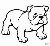 Bulldog Coloring Pages Printable English Color American Dog Bulldogs Puppy Print Animals Drawing Ausmalbilder Colouring Hund Template Kids Sheets Supercoloring sketch template