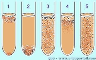 anaerobie definition  explications