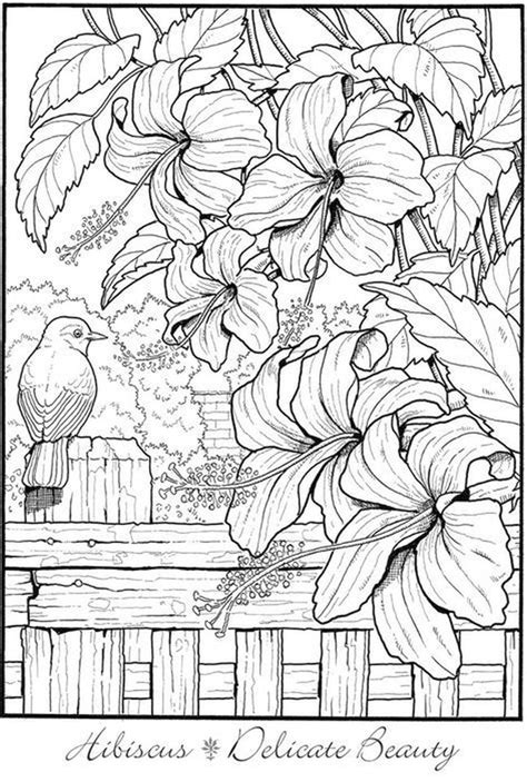 flower pattern coloring pages  print  adults ilm