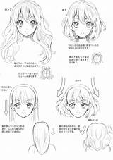 Manga sketch template