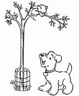 Tree Coloring Cat Pages Kids Arbor sketch template