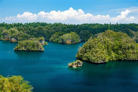 raja ampat  diving   paradise biodiversity eco resort