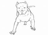Pitbull Coloring Bull Pages Pit Printable Blue Dog Pdf Print Pitbulls Cute Animals Ages Nose Drawing Puppy Cat Popular 650px sketch template