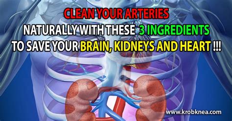 how to clean out plaque in arteries 3 ingredients mixture ~ krobknea