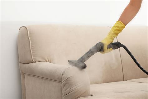 engaging  professional fabric cleaning service   home  office sofa