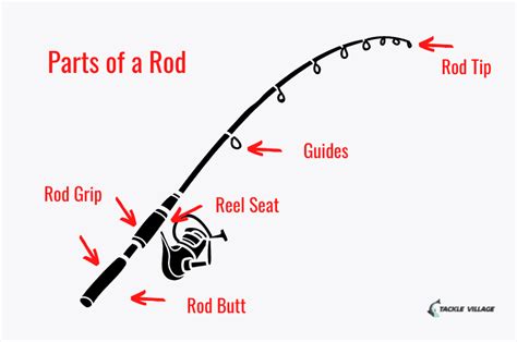 parts   fishing rod tip butt grips  guides explained