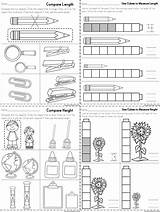 Kindergarten Length Measurement Worksheets Height Measuring Math Worksheet Comparing Activities Unit Mass Primary Weight Compare Units Preschool Capacity Comparison Numeracy sketch template