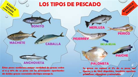 bitacora nutriludico conociendo los tipos de pescado