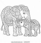 Coloring Pages Elephant Adult Elephants Adults Colouring Mandala Printable Hand Detailed Colour Drawn Kipling Animal Vector Rudyard Cute Books Stock sketch template