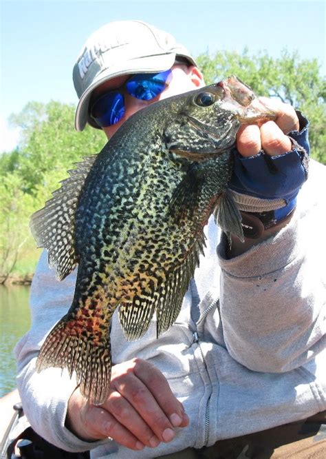 coloradocasters lets   knowthe crappie