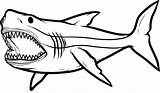 Shark Coloring Sharks Megalodon Etk Clipartbest Clipartmag sketch template