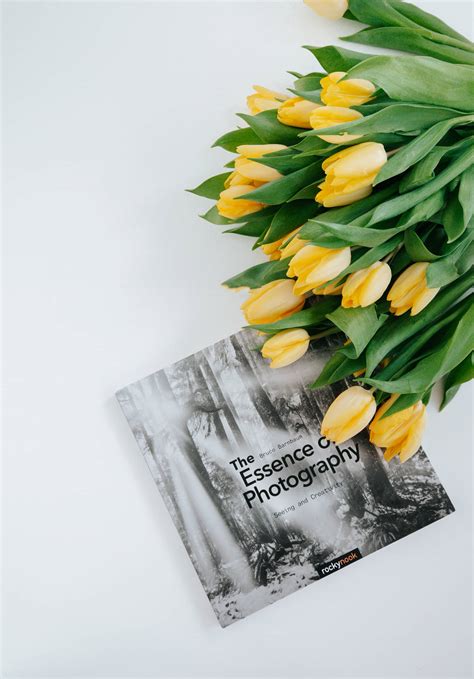 yellow tulips bouquet wallpaper wallpaperscom