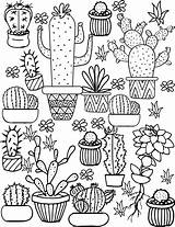 Kaktus Kakteen Cactus Ausdrucken sketch template