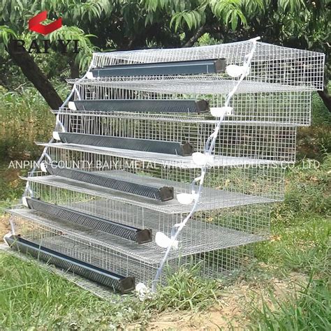 China New Design Laying Quail Breeding Cages For Egg Production China