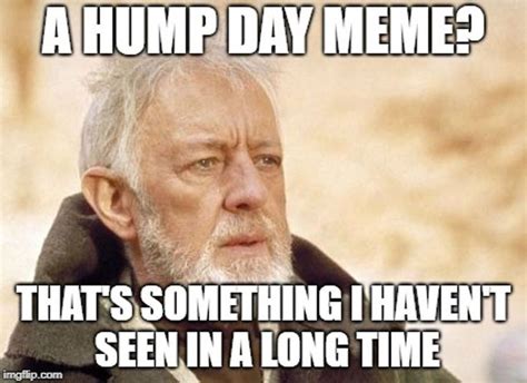 the 16 best hump day memes back to work meme funny memes about work