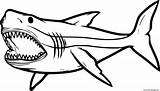 Megalodon Sharks Angry Etk sketch template