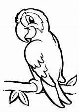 Parrot Coloring Pages Printable Macaw Parrots Print Cartoon Bird Tropical Colouring Pet Kids Cliparts Color Flying Clipart Drawing Coloringbay Birds sketch template