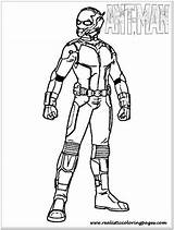 Mewarnai Ant Antman Lembar Sketsa Sumpah Pemuda Hari Pahlawan Superhero Realistic sketch template