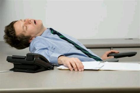 31 Best Sleeping On The Job Images On Pinterest Ha Ha
