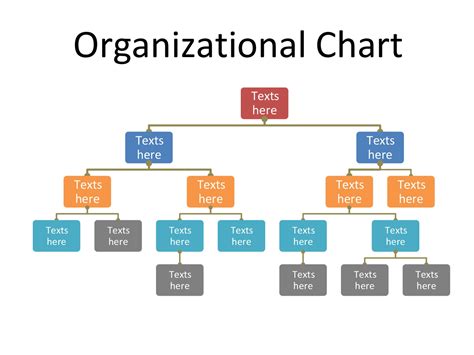 organizational chart template canva