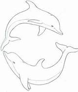 Dolphin Drawing Line Realistic Coloring Pages Dolphins Step Draw Drawings Getdrawings Heart Sea Animal sketch template