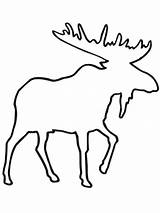 Moose Outline Coloring Pages Drawing Template People Clipart Printable Antlers Silhouette Sketch Face Cliparts Getdrawings Clip Vector Library Cut sketch template