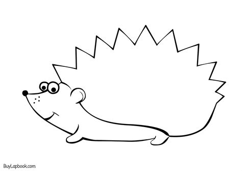 hedgehogs  printable coloring  activity page  kids buylapbook