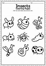 Insect Insects Bug Worksheeto sketch template