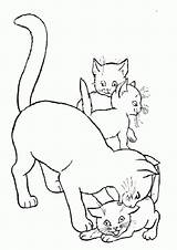 Katze Ausmalbilder Malvorlagen Katzen Ausmalen Chevaux Kindern Colorier sketch template
