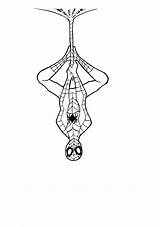 Spiderman Drawing Line Comics Drawings Deviantart Tattoo Spider Man Draw Comic Simple Small Paintingvalley Sade Painting Marvel sketch template