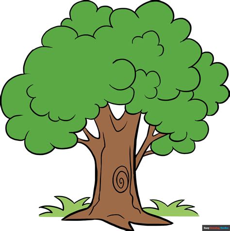 draw  cartoon tree easy step  step drawing guides