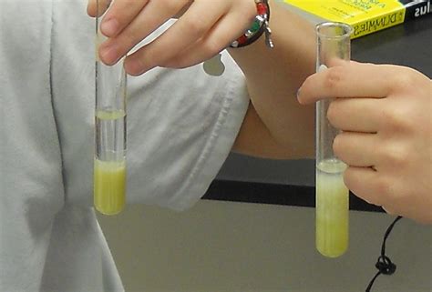 test tube reactions