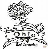 Ohio Coloring State Pages Brutus Drawing Buckeye Carnation Flower Bow Buckeyes Football Michigan Pennsylvania Majorette Color Supercoloring Flag Printable Kids sketch template