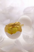 白い羽の卵 チャプター に対する画像結果.サイズ: 120 x 185。ソース: amanaimages.com
