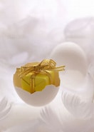 白い羽の卵 チャプター に対する画像結果.サイズ: 132 x 185。ソース: amanaimages.com