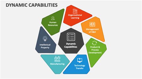 understanding  dynamic capabilities   organization